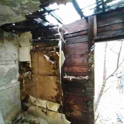 8031 conger (68).jpg